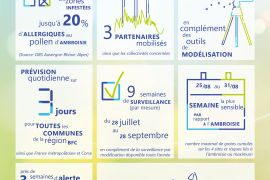 Visuel de l'infographie bilan