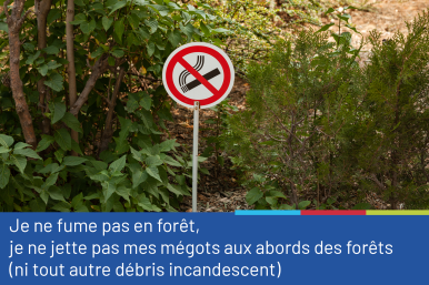 Photo représentant un panneau d'interdiction de fumer, placé dans un sous-bois, accompagnée du conseil "Je ne fume pas en forêt, je ne jette pas mes mégots aux abords des forêts (ni tout autre débris incandescent)"