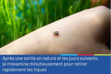 Photo représentant une tique, probablement au stade de nymphe, se déplaçant sur la peau d'un avant-bras. La photo est accompagnée du conseil "Après une sortie en nature et les jours suivants, je m'examine minutieusement pour retirer rapidement les tiques".